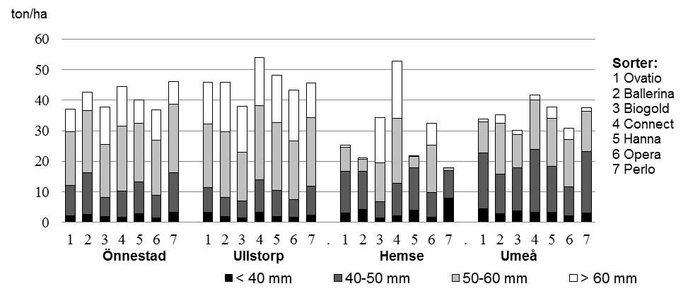 Figur 3. Knölskörd och knölstorleksfördelning i 4 ekologiska potatisförsök sommaren 2013. Tabell 6. Skador och sjukdomsangrepp.