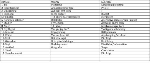 ÄLVDALENS KOMMUN 4 (9) Diskussionsuppgift: Vilka hinder, risker och farhågor för att nå det angivna målet kan ni se? Vilka orsaker till dessa hinder, risker och farhågor kan ni se?