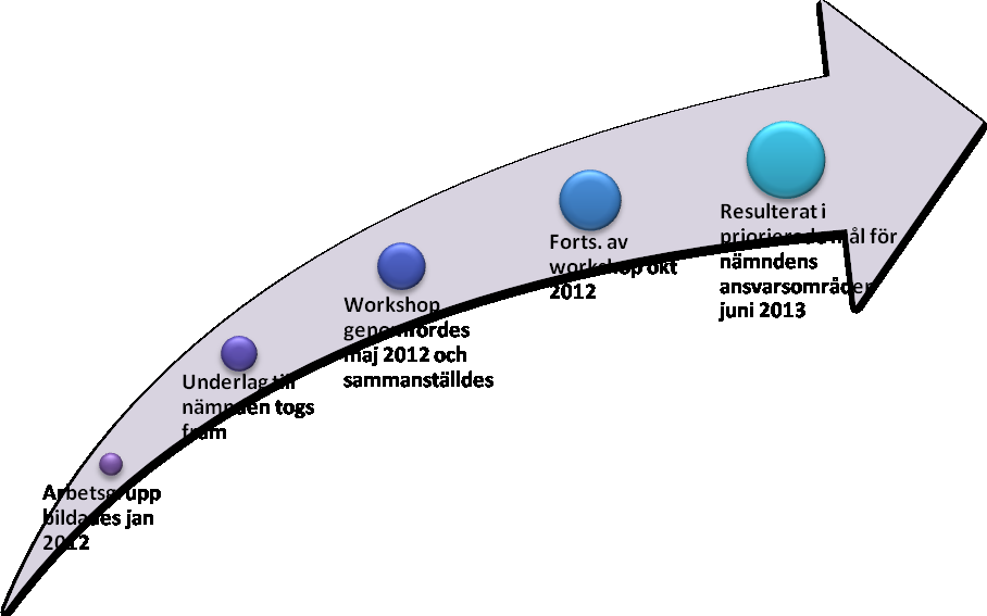 Beskrivning av arbetsgång En arbetsgrupp bestående av KUN:s presidium och tjänstepersoner fick våren 2012 uppdraget att arbeta fram och presentera ett förslag till måldokument som: Tar till vara det