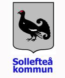 Vi kommer därför i seriespelet att i grunden följa andemeningen i spelarutbildningsplanens rekommendationer gällande ålder och division: Div 5-6 7-manna Div 7 södra/västra 7-manna Div 4 9-manna Div