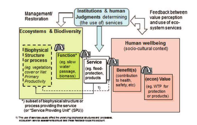 Ecosystem Services are the direct and indirect flux of