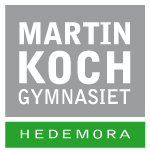 Martin Koch-gymnasiets plan mot diskriminering