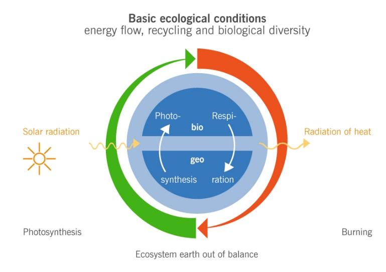 Figur 1a. Kopplingen mellan det levande och icke levande hos jordens ekosystem. Solljus når Jorden som högvärdig kortvågig strålningsenergi och driver de biologiska processerna.