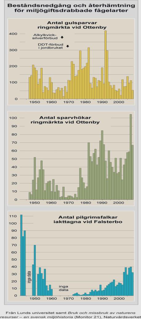 fåglarna ruvade på äggen men nu föds åter rovfågelsungar på vanligt sätt.