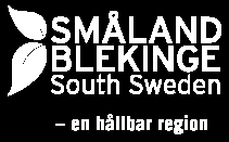 Bilaga 2 INTERNATIONELLA STUDENTER Resultat från en planeringworkshop för projekt med syfte att stärka förutsättningarna för internationella studenter att etablera sig på den svenska arbetsmarknaden