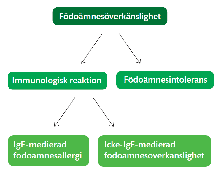 Vad är