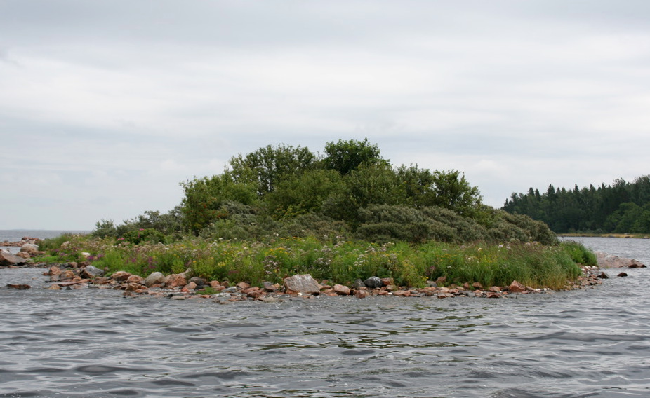 Gävlebukten Lokal 2, Orarna Datum: 2009-07-28 Position: N 60,69659 E 17,30599 Riktning: 270/360 Vind: SV 3m/ s Våghöjd: 0,2 m Siktdjup: 1,7 m Sal: 2,8 Profilen börjar vid den västra udden på den