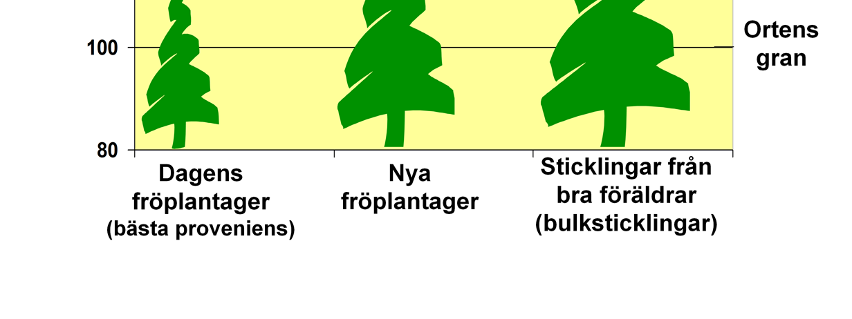 Inte bara storleken, utan även plantans ursprung har betydelse!