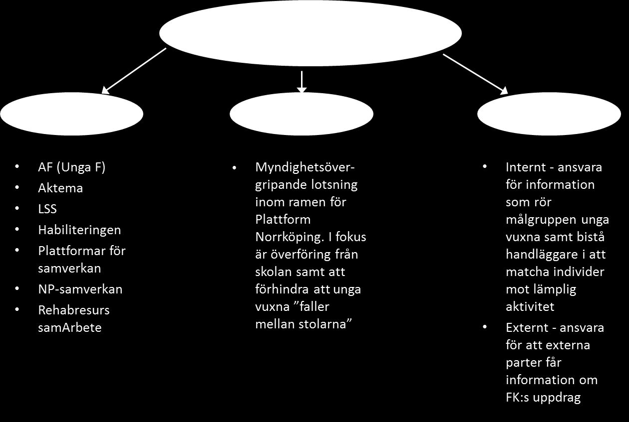Konsekvenser Koncentration till en person, Aktivitetssamordnaren, skulle kräva en tydlig kommunikation och tät dialog med medarbetare i den egna organisationen.