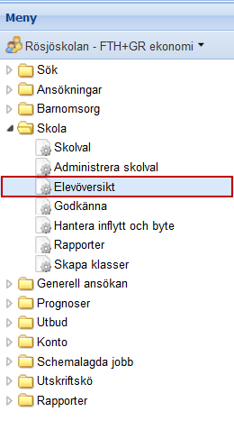 Under Skola Elevöversikt hittar du