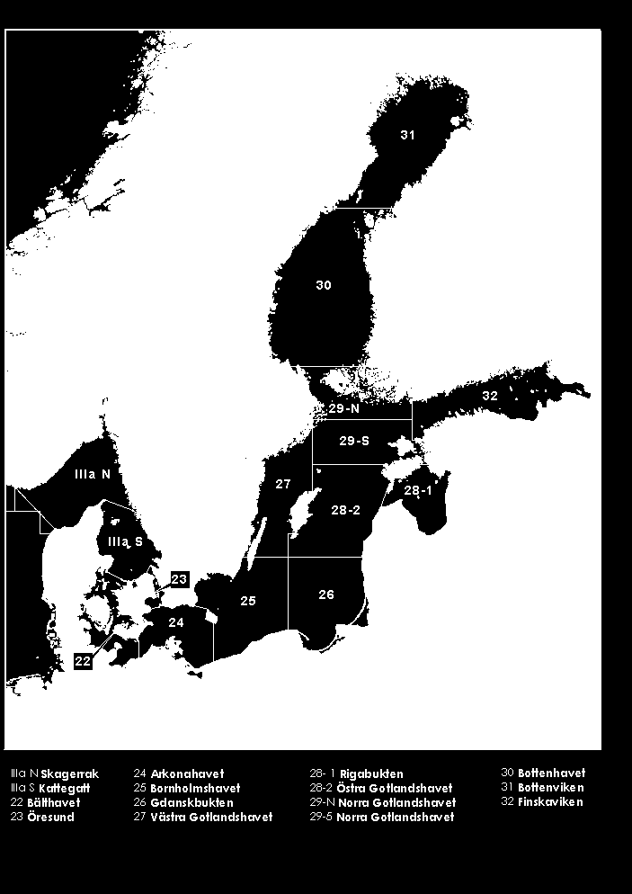 6 Yrkesfiskets fångster av sill/strömming i de berörda områdena (26 31 samt delar av område 25) uppgick till ca 48 000 ton år 2009.