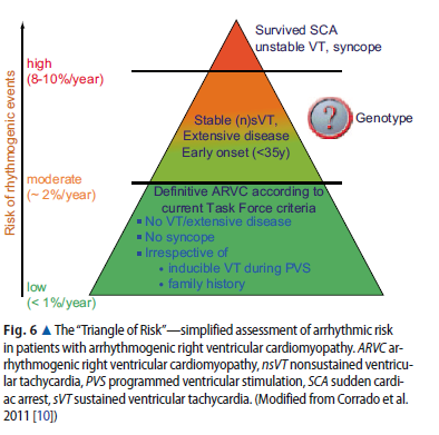 ARVC, arytmirisk Paul M, et al.