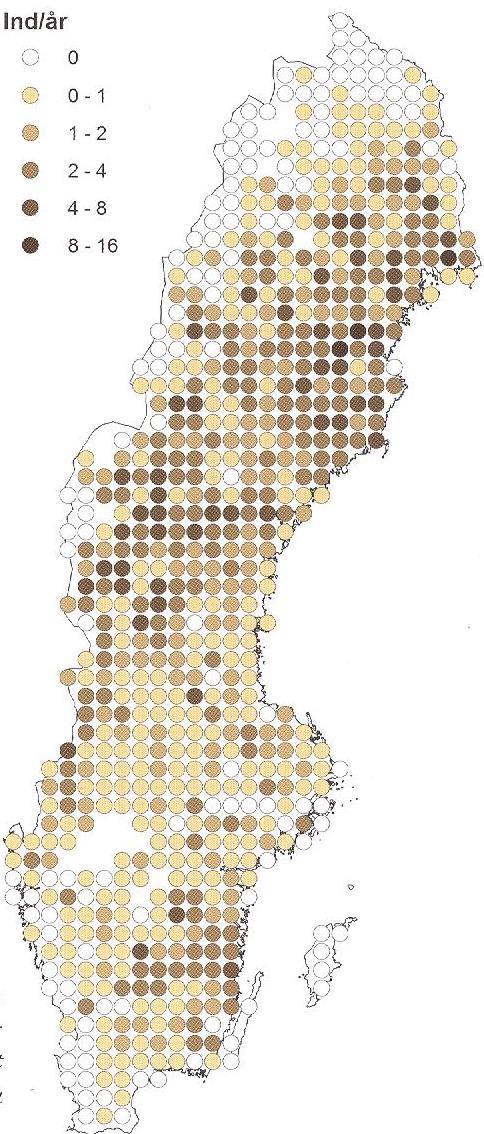 Hur är det då med denna?