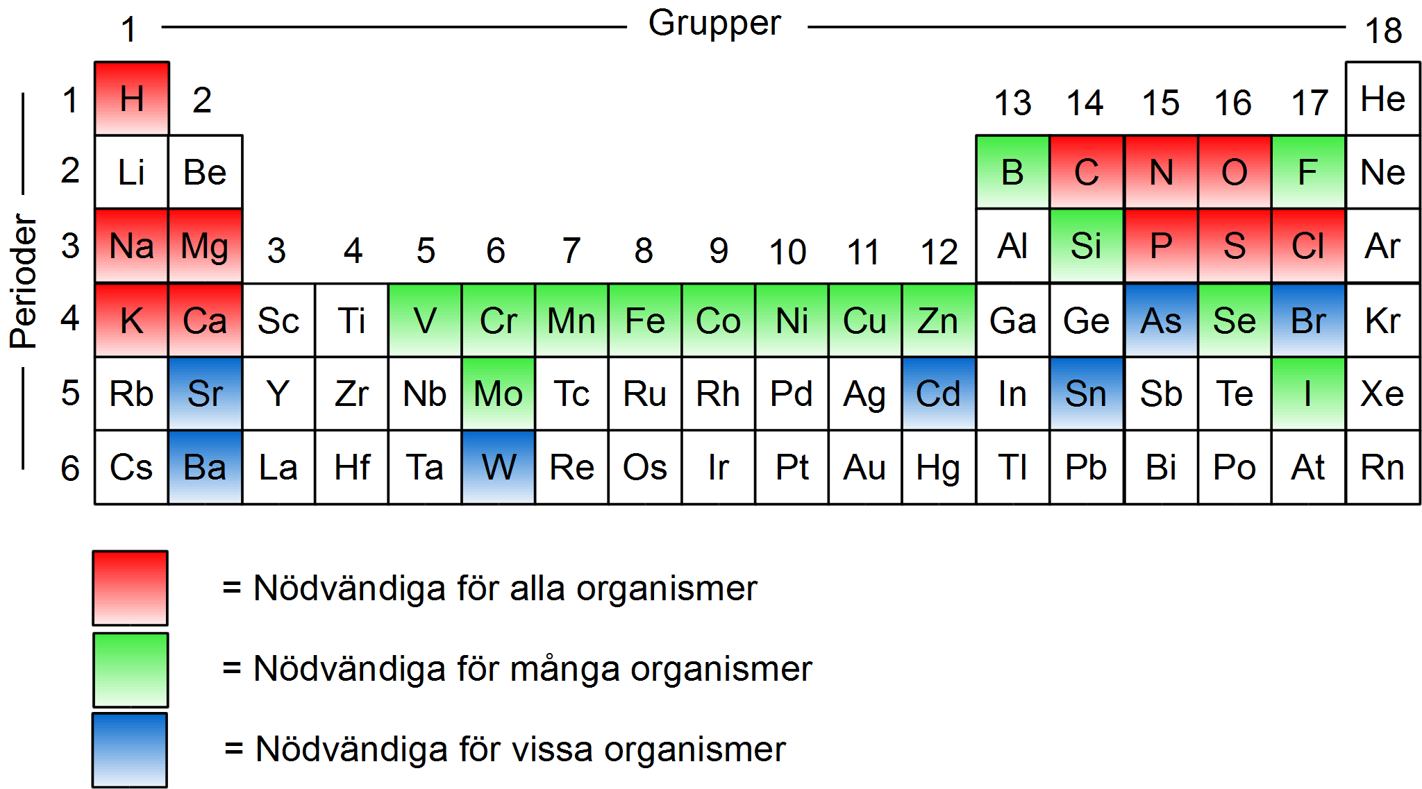 Biologiska Grundämnen