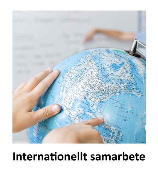 Avdelningen för internationellt samarbete Internationellt samarbete och mobilitet inom utbildningsområdet.
