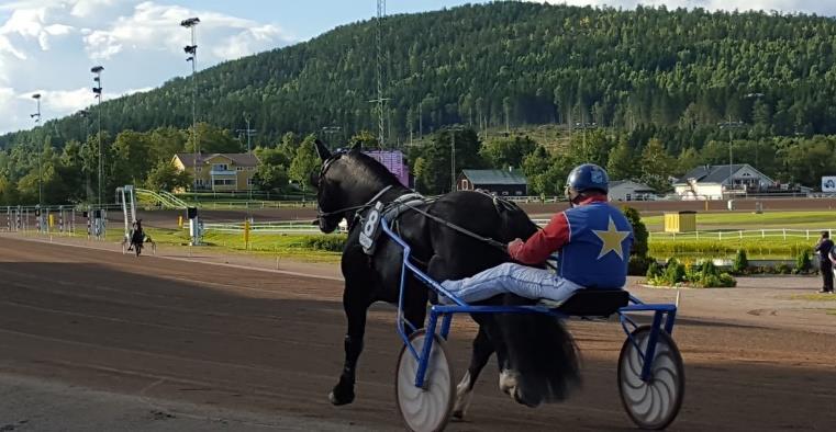 ELIAS Bra spår på en start snabb häst, formen sitter och Diggers Elias försöker nog leda detta lopp från start till mål.