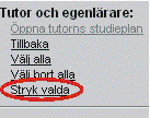 får fram i sina respektive kolumner vilken egenlärare och tutor som är tilldelad varje enskild student.