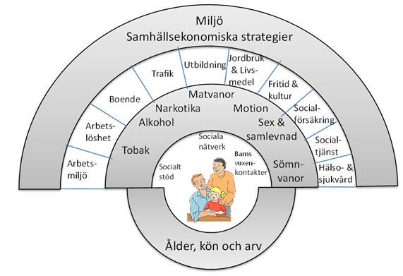 12 År 12 beslutade Sveriges Kommuner och Landsting (SKL) att stödja medlemmarna i deras hälsofrämjande och förebyggande arbete för att utjämna hälsoskillnader och långsiktigt säkerställa en effektiv