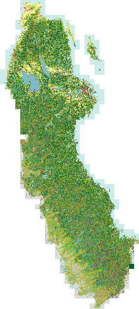 Modell för uppskalning lavrik skogsmark SMD klass 43: Barrskog på lavmark SMD43 täcker