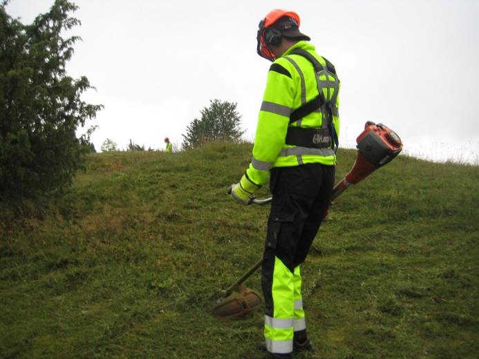 Fastighet, anläggning och byggnation Fastighet,