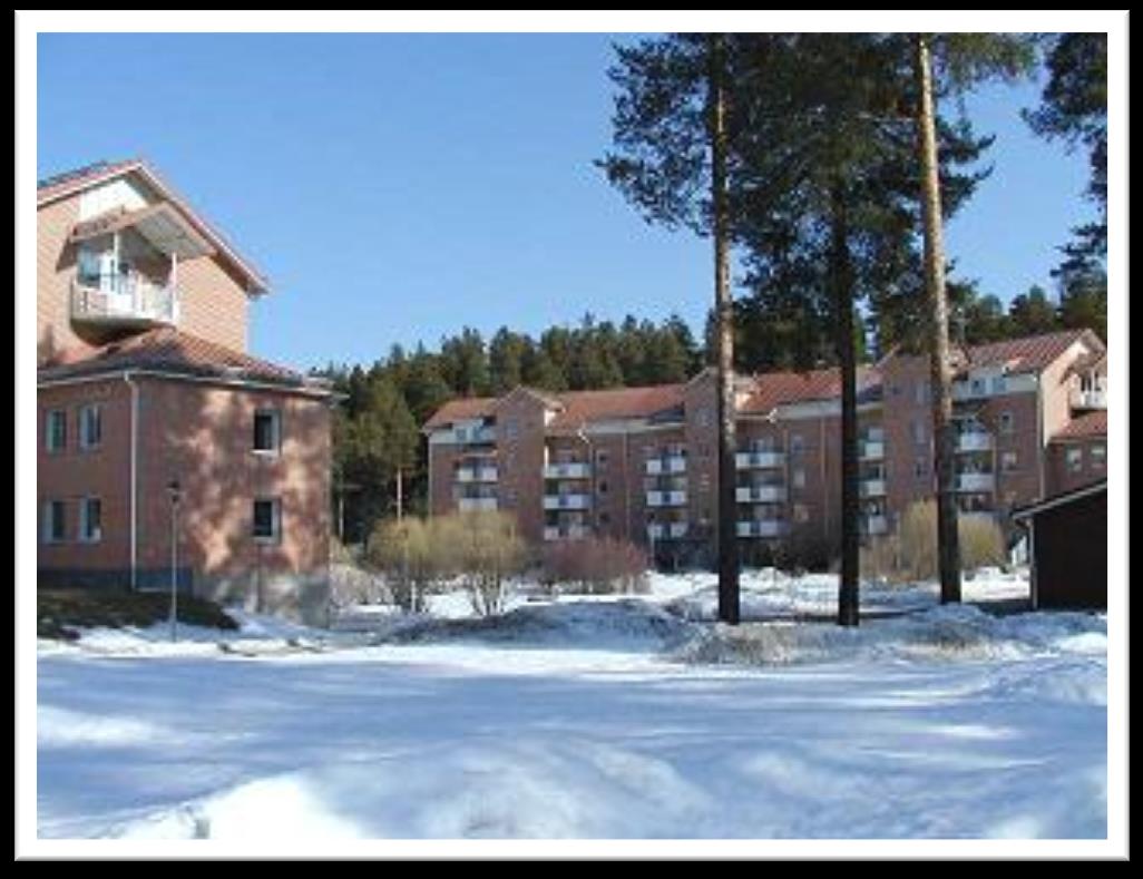 Tillgängligheten i flerbostadshus Inventering av den fysiska