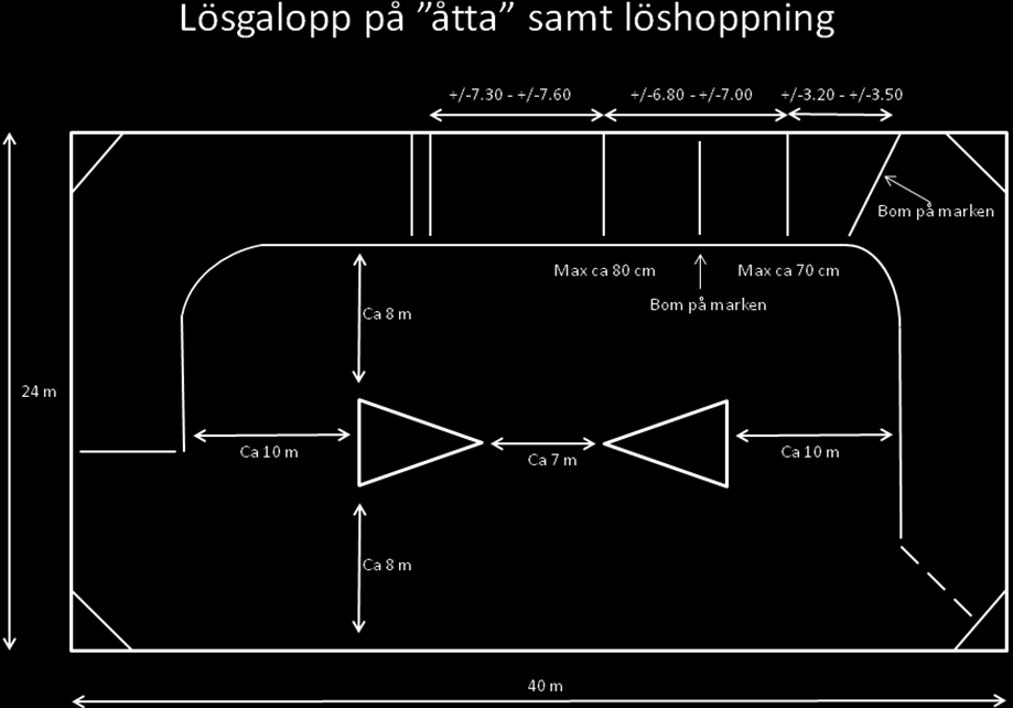 endast om särskilda veterinärmedicinska skäl finnes och ska styrkas med aktuellt veterinärintyg. Exempel på detta kan vara nyligen uppskuren hovböld.