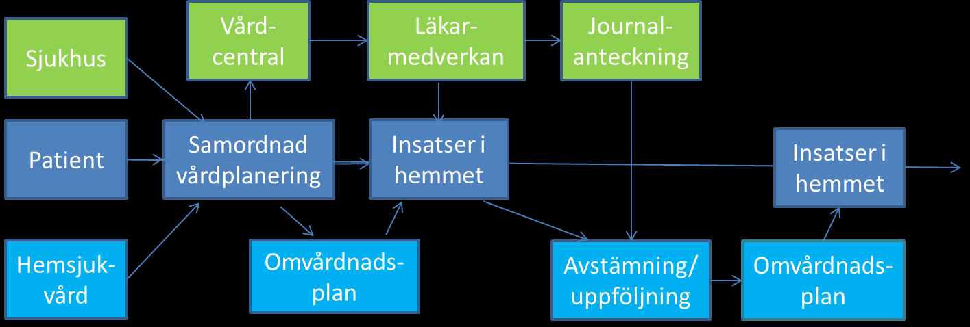 Om en person är berättigad till hemsjukvård eller ej är en bedömningsfråga.