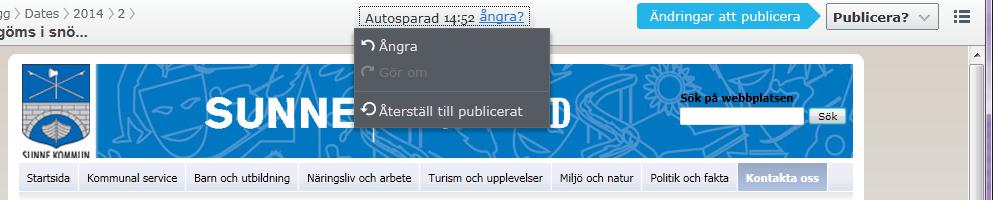 Handbok för bloggare i CMS7.5, på sunne.