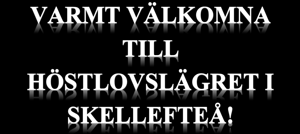 på anmälningsblanketten om du är intresserad av att vara lägerförälder. Vi kan inte garantera att alla som vill jobba som lägerföräldrar kommer att kunna garanteras plats.