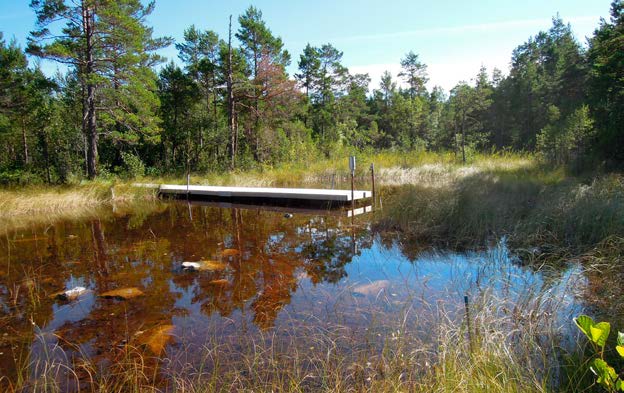 I bilden syns grund vatten röret SFM000114 och pegelröret SFM000115, som installerades våren 2009, och den flytbrygga som används vid tillsyn och kontroll.