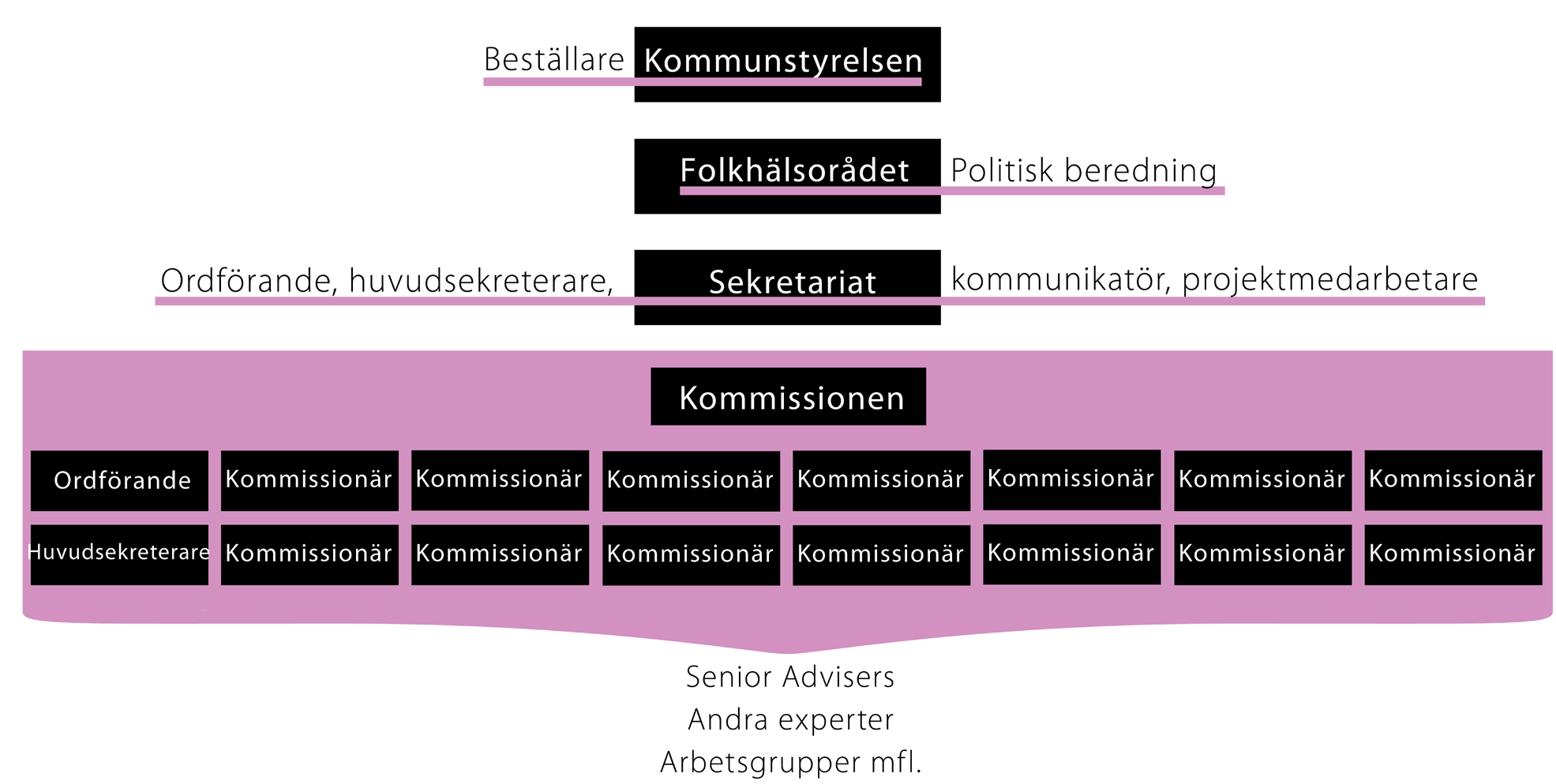 Figur 2: Kommission för ett socialt hållbart Malmö, organisationsskiss Denny Vågerö, professor i medicinsk sociologi, var en av nitton kommissionärer i Commission on Social Determinants of Health