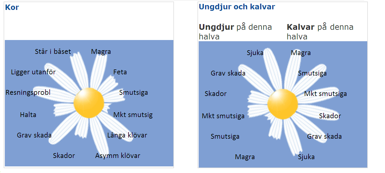 System för Djurvälfärd Svensk Mjölks system för djurvälfärd består i grunden av två verktyg, en webbrapport som bygger på data från kokontrollen, Signaler Djurvälfärd, och en djurbedömnings tjänst,