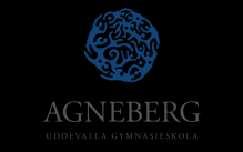 Innehållsförteckning Bakgrund...2 Lagar och styrdokument...2 Definitioner och begrepp... 3 Agneberg - Med traditionen i ryggen och framtiden i fokus.