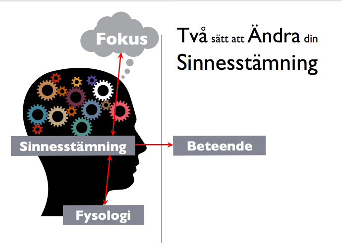 INNAN DU BÖRJAR Det blir som du tänker... Ja, nästan i alla fall! En dimension vi kommer titta på här är begreppet state (sinnesstämning).