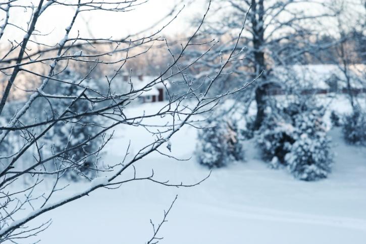 Han kommer, han kommer, var med oss och fira advent, Han kommer, han kommer Gud har sin son till oss sänt Ja, så börjar orden i en av psalmerna vi sjunger vid advent.