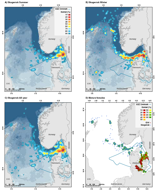 Figur 6-15 Täthet (Kernel density) 10 % intervaller baserat på 26 tumlare som spårats i Skagen (ju lägre procent desto större täthet).