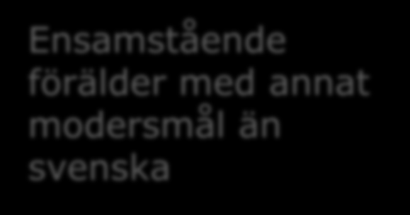 Barn till missbrukande föräldrar De mest sjuka äldre Fattiga lågutbildade kvinnor Barn med cancer och invandrarbakgrund Döva asylsökand e Ensamstående förälder med annat modersmål än svenska