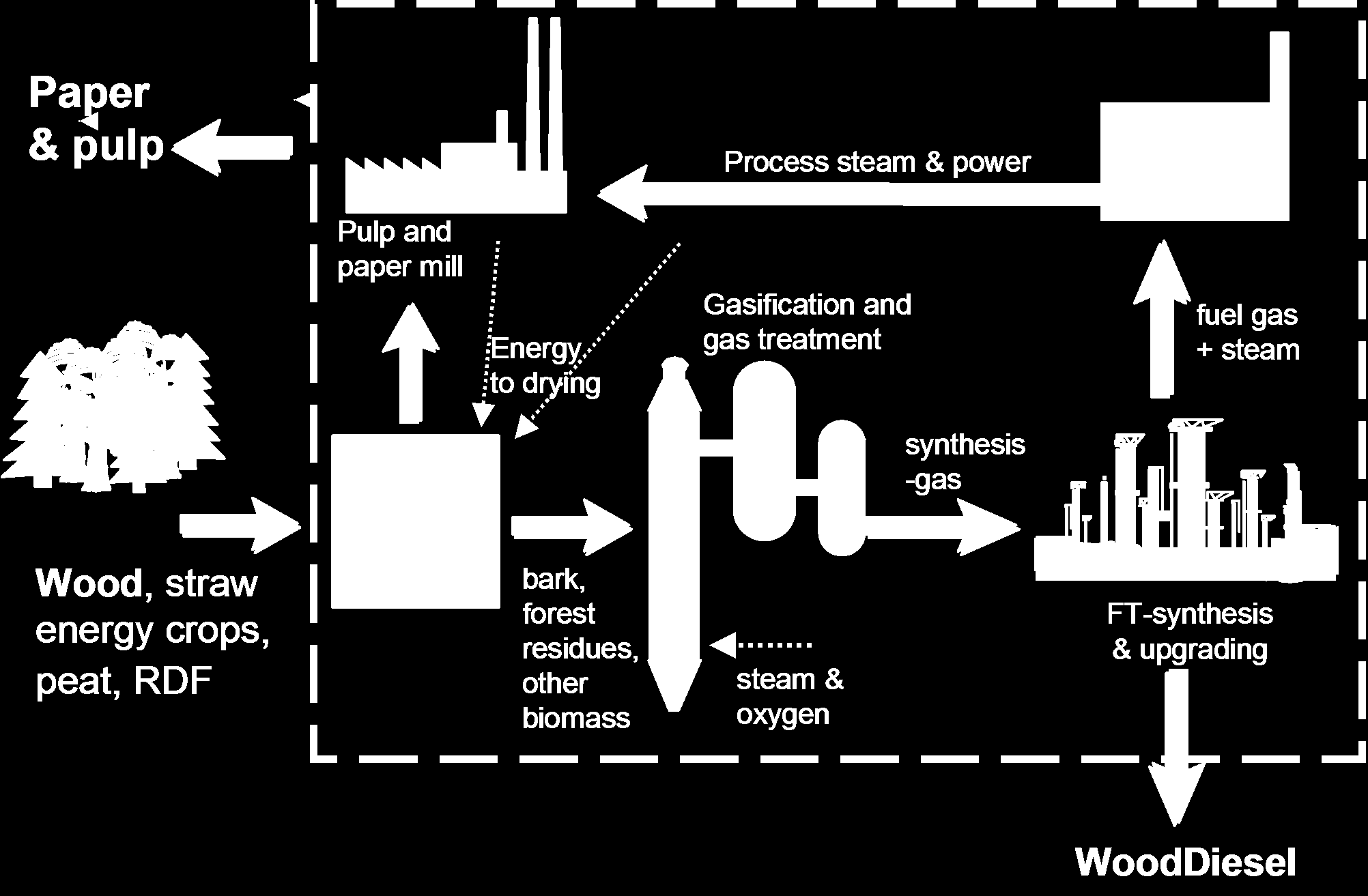 Biodiesel