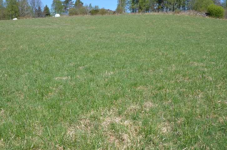 Vetlanda Puketorp 1:3 Jordbruksmark Jordbruksmarken omfattar 1,4 ha enligt mätning på