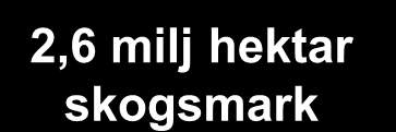 Forest Products Verksamhet 2,6 milj hektar skogsmark