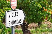 Fredagen den 17 september Byarna runt Dentelles de Montmirail Vi åker nordost mot de vackra Dentelles de Montmirail-bergen och kända Côtes-du-Rhône-byar som Gigondas, Vacqueyras, Seguret och Cairanne.