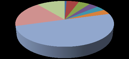 Prognos Befolkningsprognos 2013-2020-2030 åldersklasser, Scenario 1 Befolkningsprognos 2013 åldersklass, andel och åldersklass 18,6% 6,6% 1,0% 5,0% 4,1% 3,2% 3,0% 3,5% 55,2% 0 1-5 6-9 10-12 13-15