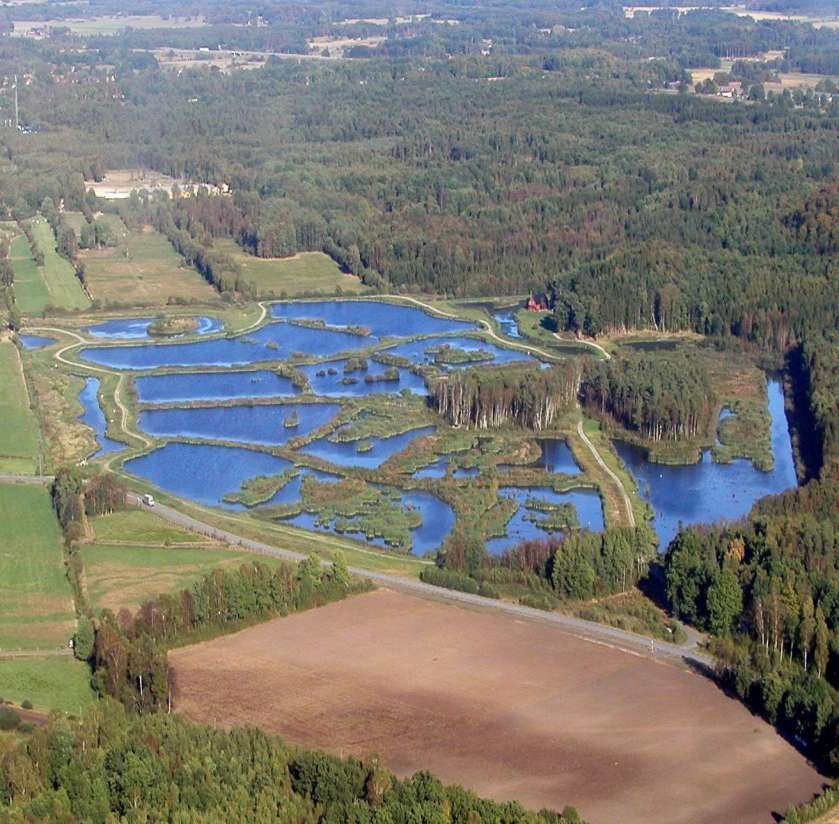 Magle våtmark, Hässleholm