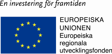 Mora Region Nord Länsstyrelsen Västerbotten Piteå Skellefteå Lycksele Region