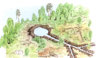 Rådgivning