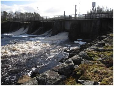 Dammen är ca 140 m lång och har en högsta dammhöjd på 5 m. I utskovsdammen finns sex utskov med sammanlagt 19 luckor. Dammen byggdes 1918 och byggdes till 1942.