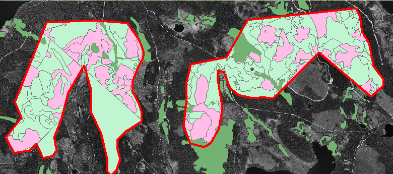 Inom dessa gränser förekommer delområden fyllda med mörkgrön färg, dessa delområden är skogar som tidigare utförda