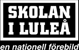 Tillsynen visar att Luleå kommun har utvecklat tydliga riktlinjer för sitt kvalitetsarbete och att man i flera av verksamheterna har kommit en bra bit på väg.