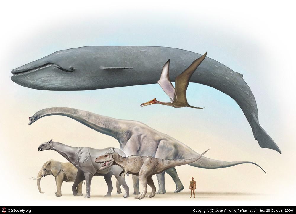 Dinosaurierna dör ut den 25 december för 65 miljoner år sedan Indricotherium (t.h) var ett uddatåigt hovdjur vars närmaste nu levande släkting är noshörningen.
