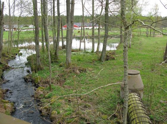 Lillån Kvillsfors, Emåförbundet 2012 men fördelen med detta alternativ är att man lättare kan fördela fallhöjden längs med sträckan eftersom man inte behöver ta hänsyn till vattenledningen från